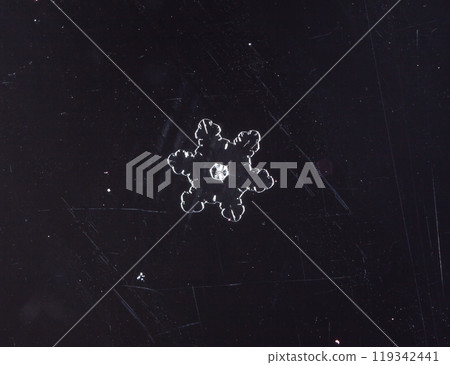 snowflakes, winter card, crystals of snow snowflakes, winter card, crystals of snow 119342441