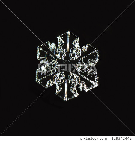 snowflakes, winter card, crystals of snow snowflakes, winter card, crystals of snow 119342442