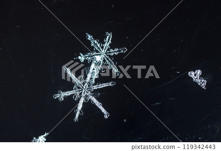 snowflakes, winter card, crystals of snow snowflakes, winter card, crystals of snow 119342443