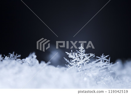 photo real snowflakes during a snowfall, under natural conditions at low temperature photo real snowflakes during a snowfall, under natural conditions at low temperature 119342519