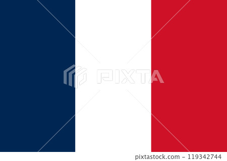 Flag of Reunion. Department of Reunion flag. Island country 119342744