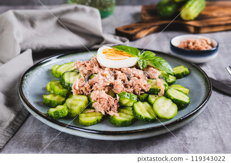 Appetizing salad of cucumber, canned tuna and egg on a plate on the table 119343022