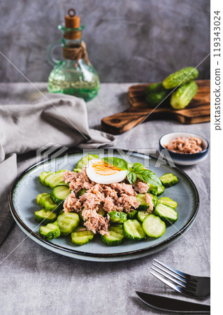 Appetizing salad of cucumber, canned tuna and egg on a plate on the table vertical view 119343024