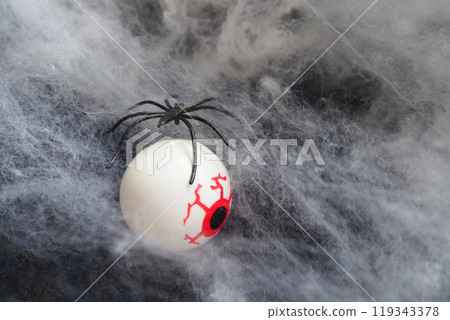 Eyeball with red blood vessels in the legs of an arthropod black spider in a white web on a black background. Halloween holiday. Background for advertising. Creepy gouged eye. Copy space Eyeball with red blood vessels in the legs of an arthropod black spider in a white web on a black background. Halloween holiday. Background for advertising. Creepy gouged eye. Copy space 119343378