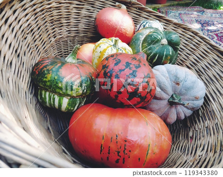 Gray and orange pumpkins on straw. Botanical variety of pumpkins. Vegetables zucchini and squash. Halloween symbol. Autumn harvest. Allhalloween, All Hallows Eve, or All Saints Eve. 119343380