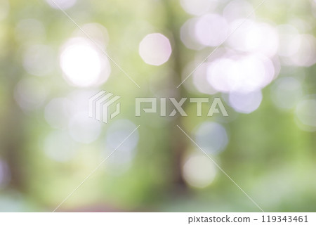 Background bohek of sparkling light Background bohek of sparkling light 119343461