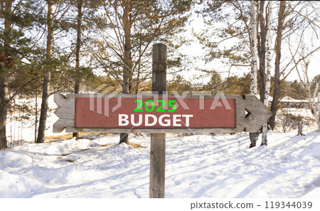 Planning 2025 budget new year symbol. Concept words 2025 Budget on beautiful wooden old retro vintage road sign. Beautiful winter forest background. Business 2025 budget new year concept. Copy space. 119344039