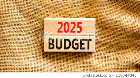 Planning 2025 budget new year symbol. Concept words 2025 Budget on beautiful wooden blocks. Beautiful canvas background. Business 2025 budget new year concept. Copy space. Planning 2025 budget new year symbol. Concept words 2025 Budget on beautiful wooden blocks. Beautiful canvas background. Business 2025 budget new year concept. Copy space. 119344043