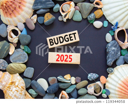 Planning budget 2025 new year symbol. Concept words Budget 2025 on beautiful wooden blocks. Beautiful black background. Beautiful sea stones shell. Business budget 2025 new year concept. Copy space. Planning budget 2025 new year symbol. Concept words Budget 2025 on beautiful wooden blocks. Beautiful black background. Beautiful sea stones shell. Business budget 2025 new year concept. Copy space. 119344058
