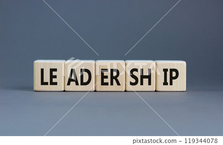 Leadership symbol. Concept word Leadership on beautiful wooden blocks. Beautiful grey background. Business leadership concept. Copy space. Leadership symbol. Concept word Leadership on beautiful wooden blocks. Beautiful grey background. Business leadership concept. Copy space. 119344078
