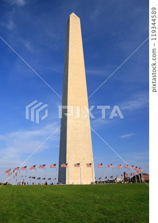 Washington Monument with American flags waving around and green grass on the foreground, District of Columbia, USA 119344589