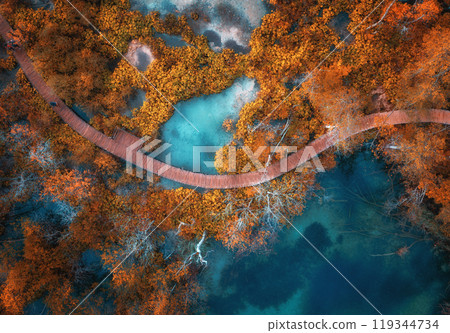 Aerial view of blue lakes in red autumn forest at sunrise 119344734