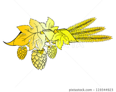 Vector hops with wheat vector illustration Vector hops with wheat vector illustration 119344923