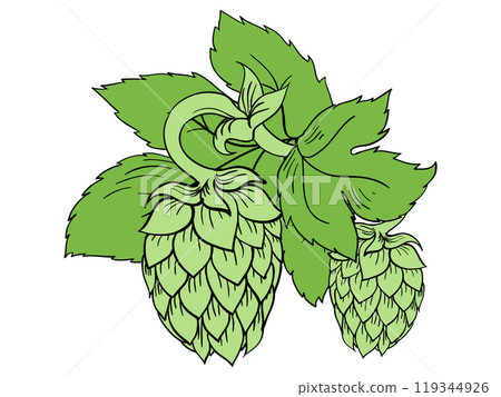 Vector hops with leaves 119344926