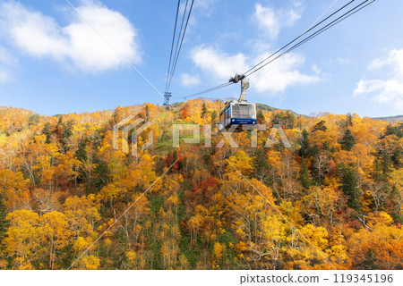 山的秋葉 山的秋葉 119345196