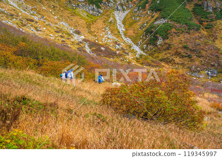 [Nagano Prefecture] Autumn at Senjojiki Curl, with rowan berries turning red 119345997