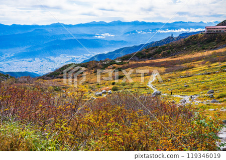 [Nagano Prefecture] Autumn at Senjojiki Curl, with rowan berries turning red 119346019