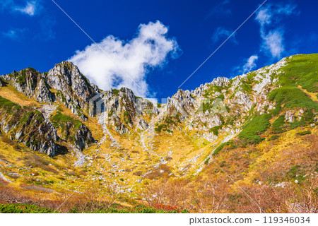 [Nagano Prefecture] Autumn at Senjojiki Curl, with rowan berries turning red 119346034