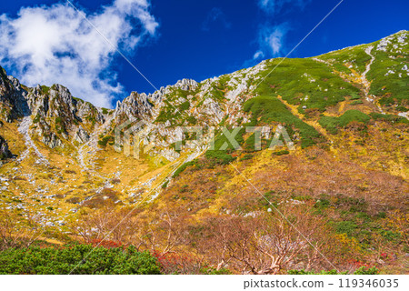 [Nagano Prefecture] Autumn at Senjojiki Curl, with rowan berries turning red 119346035