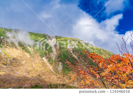 [Nagano Prefecture] Autumn at Senjojiki Curl, with rowan berries turning red 119346038