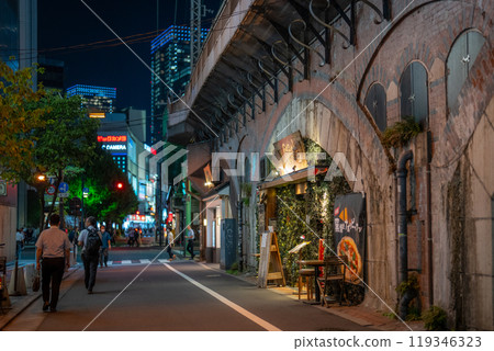 A view of Tokyo at night under a railway overpass. Photographing restaurant food, office workers returning home from work, and other people's backs. A view of Tokyo at night under a railway overpass. Photographing restaurant food, office workers returning home from work, and other people's backs. 119346323