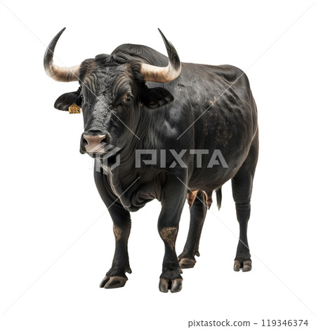 Powerful black bull with impressive horns standing isolated on a checkerboard pattern 119346374