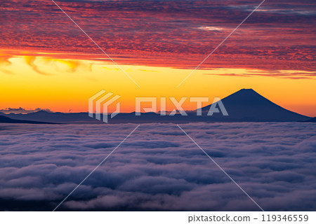 【長野縣】黎明時分的富士山和雲海，秋天的高博奇高原 119346559