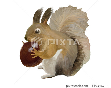 松鼠（附栗子） 119346702