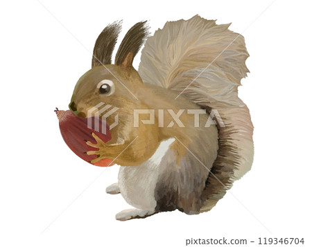 Hokkaido squirrel (with acorns) 119346704