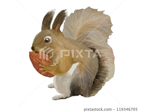 Hokkaido squirrel (with almonds) 119346705