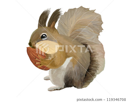 Hokkaido squirrel (cheek pouch) with almonds 119346708