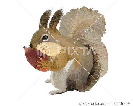 蝦夷松鼠(頰袋)配橡子 蝦夷松鼠(頰袋)配橡子 119346709