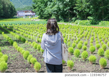 [Blue Kochia and a Woman] 119346757