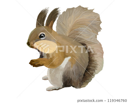 Hokkaido squirrel (cheek pouch) 119346760