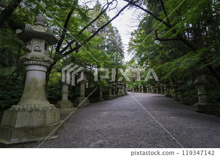 The approach to Katori Shrine lined with lanterns The approach to Katori Shrine lined with lanterns 119347142