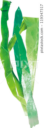 Green onion Green onion 119347317