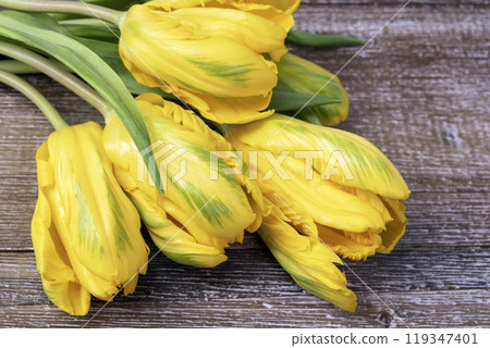 Bunch of yellow tulips with leaves on the brown wooden table. 119347401