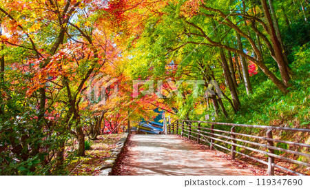 Korankei (Autumn) 119347690