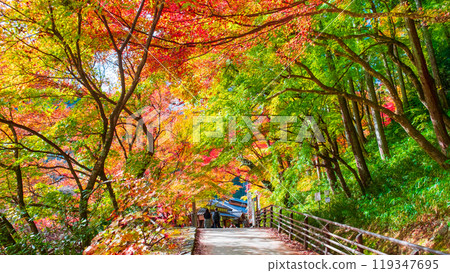 Korankei (Autumn) 119347695