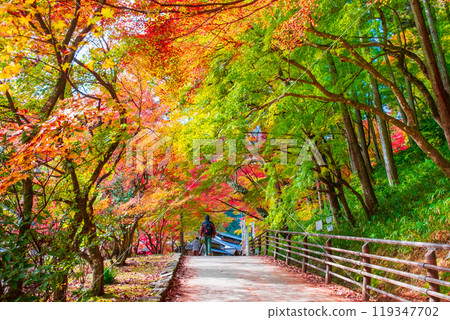 Korankei (Autumn) 119347702