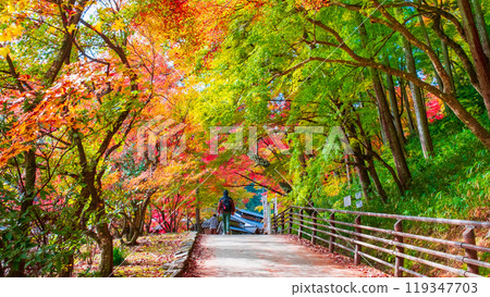 Korankei (Autumn) Korankei (Autumn) 119347703