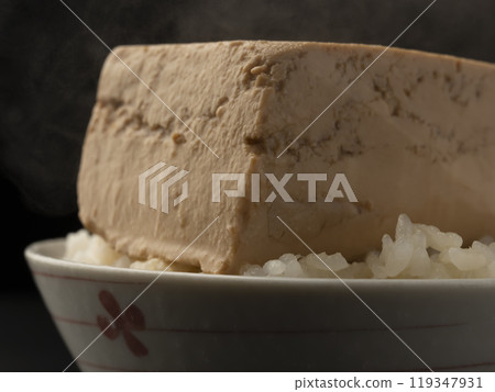 豆腐飯 119347931