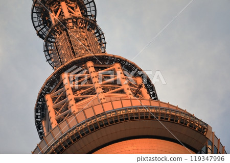 東京天空樹 119347996