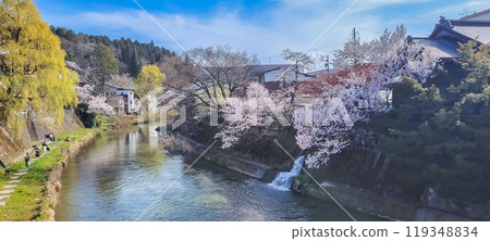 Cherry blossom in spring under clear blue sky in Takayama, Japan Cherry blossom in spring under clear blue sky in Takayama, Japan 119348834