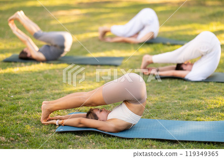 Young woman doing plow pose during group yoga in park 119349365