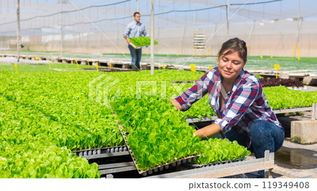 Female agriculturist working in warm house Female agriculturist working in warm house 119349408