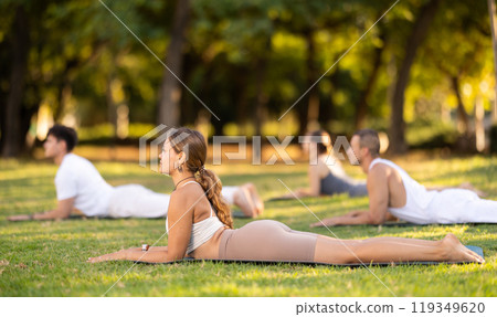 Yoga lesson visitors with coach perform dog face up and cobra pose in park 119349620