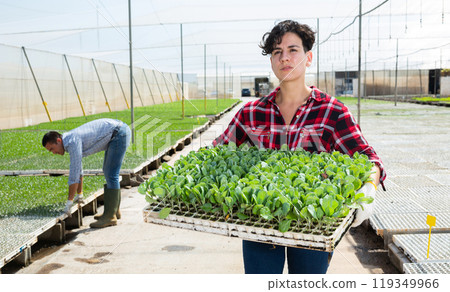 Portrait of woman gardener with tray of seedlings Portrait of woman gardener with tray of seedlings 119349966