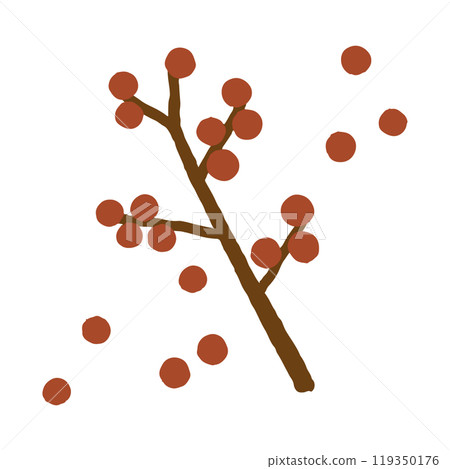 簡單堅果的手繪插圖 119350176