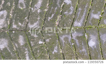 concrete wall abstract background texture cement grey gray backdrop old. design grunge rough art surface floor empty stone retro white textured wallpaper decorative light weathered interior pattern. 119350726